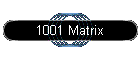 1001 Matrix